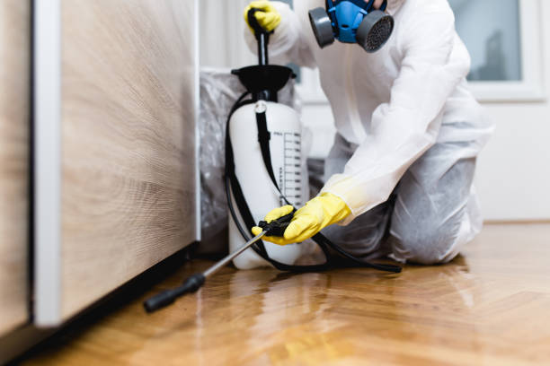 Best Ant Control Services  in Ellaville, GA