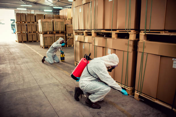 Best Mosquito Control Services  in Ellaville, GA