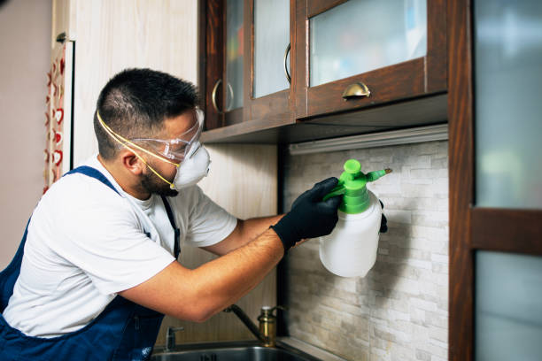 Pest Control Cost in Ellaville, GA