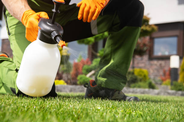 Best Best Pest Control Companies  in Ellaville, GA