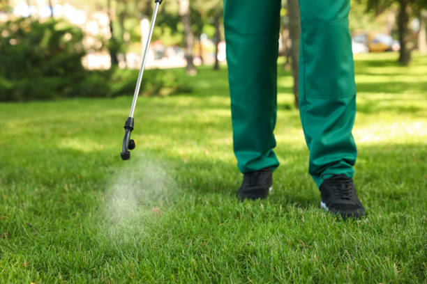 Best Cockroach Control Services  in Ellaville, GA