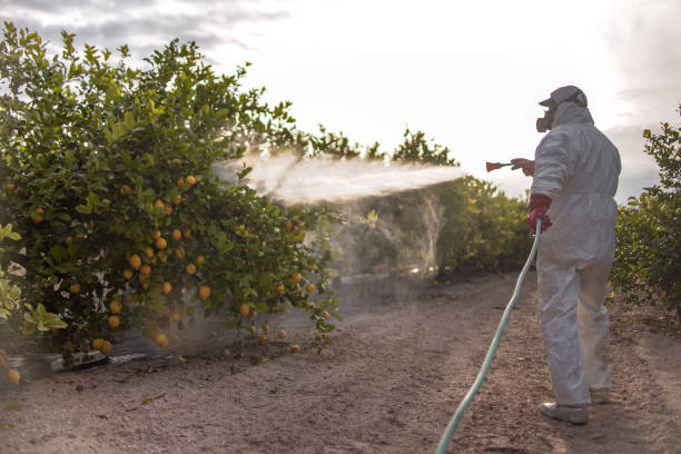 Best Termite Control Services  in Ellaville, GA