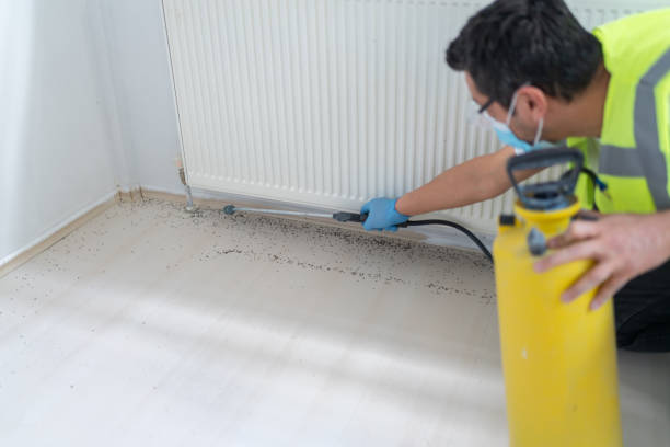 Best Affordable Exterminators  in Ellaville, GA
